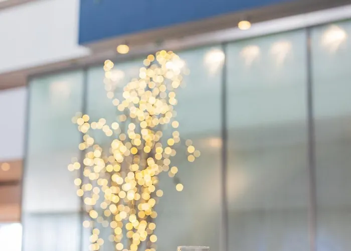 - Dwtn - The Mart By Ihg Hotel Chicago